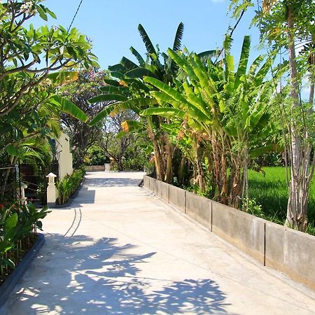 Villa Surgawi Lovina Exterior foto